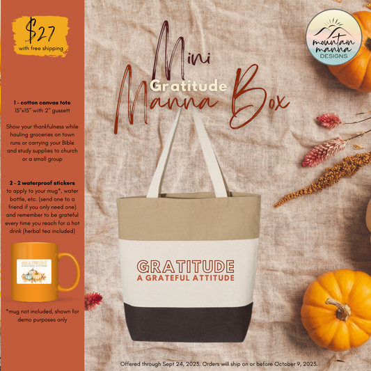 Mini Manna Box